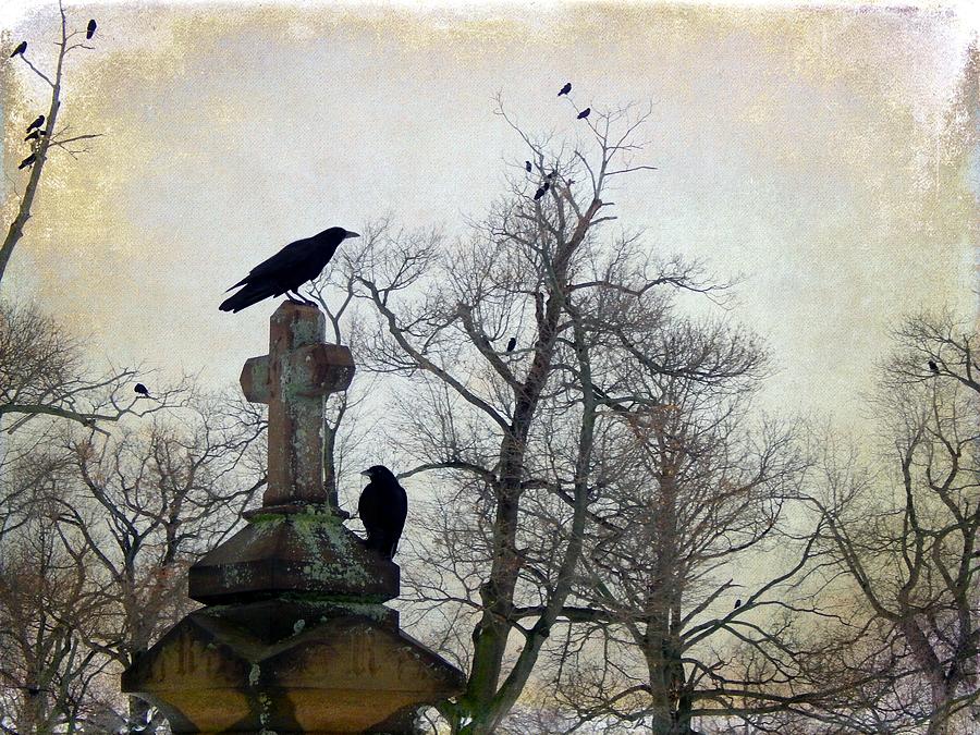 Another Graveyard Crow Day Photograph By Gothicrow Images