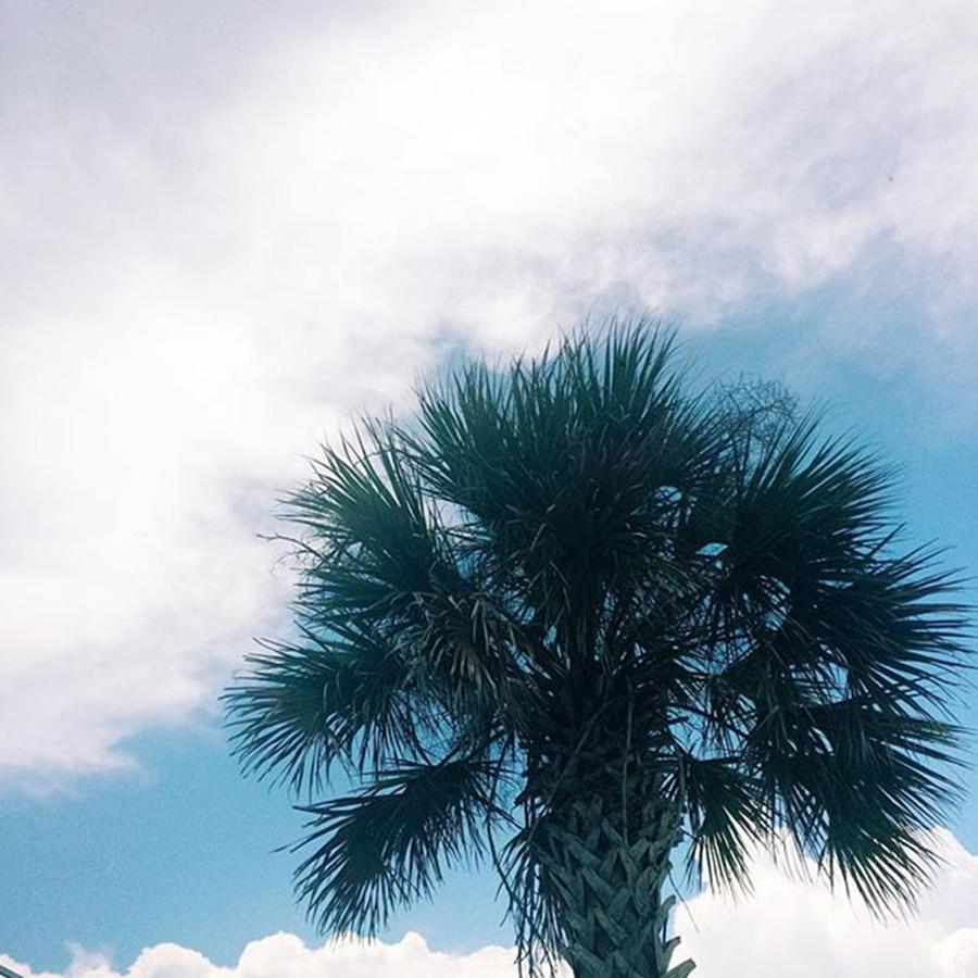 Another Great Day In Paradise 🌴☀️ Photograph by Kristen Holbrook