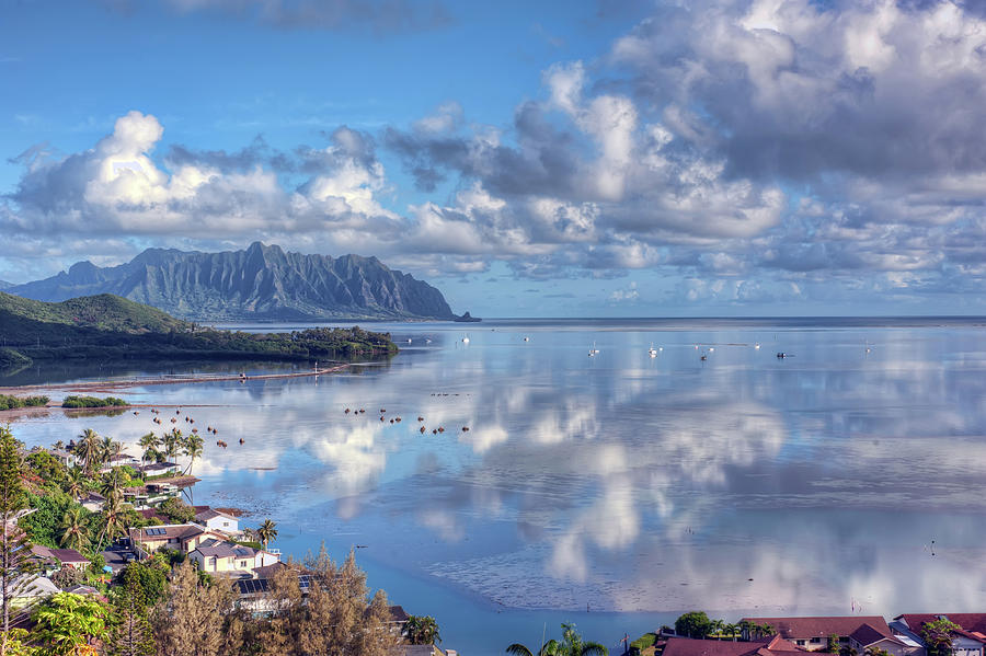 Another Kaneohe Morning Photograph by Dan McManus