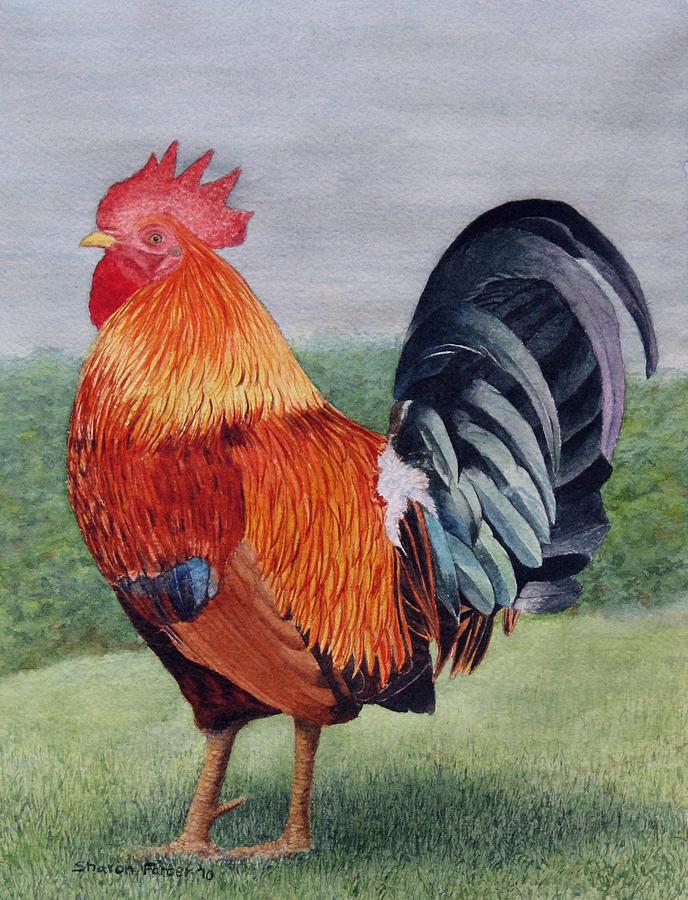 Rooster Painting - Another Rooster by Sharon Farber