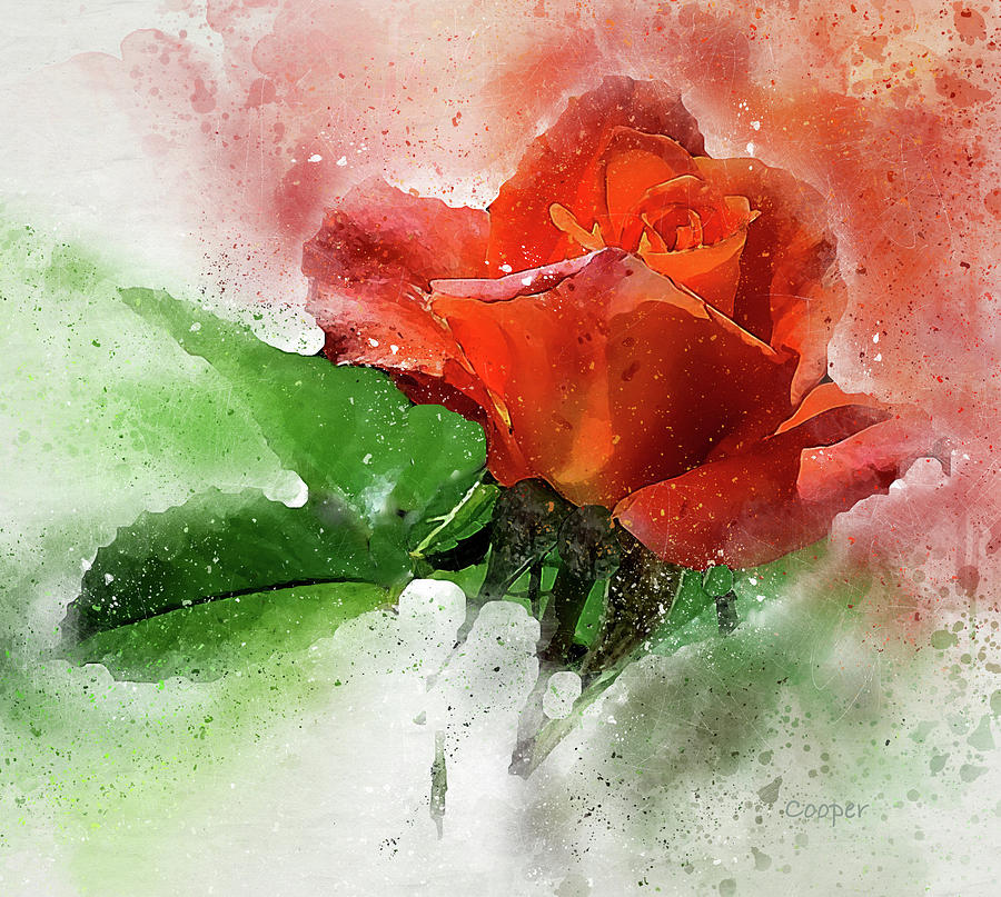 Another Rose Digital Art by Peggy Cooper-Hendon