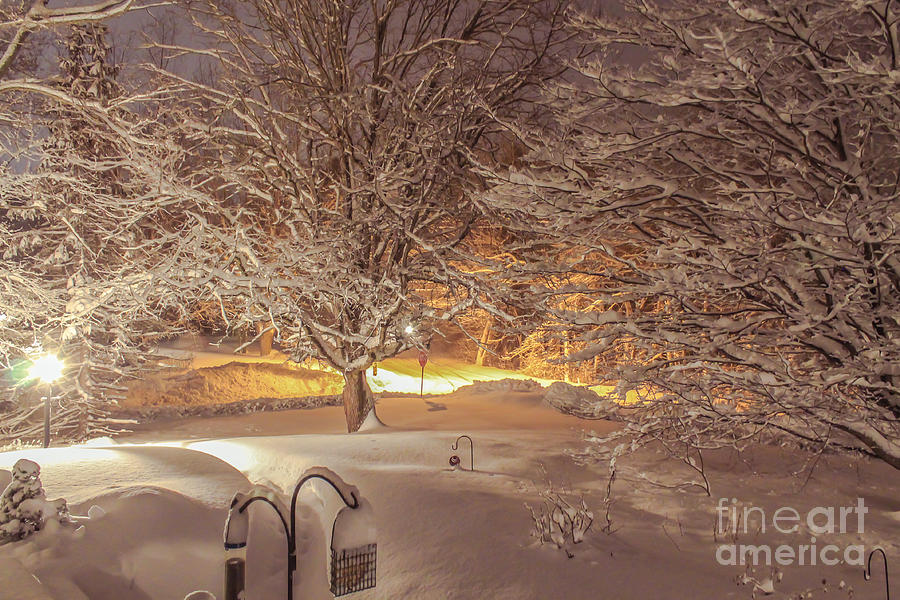 Winter Photograph - Another snow storm 1 by Claudia M Photography