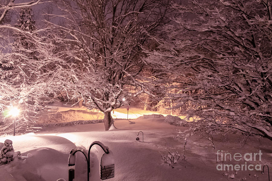 Winter Photograph - Another snow storm by Claudia M Photography