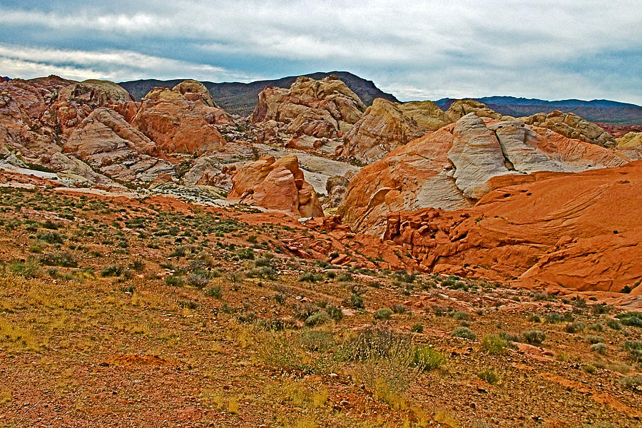 white domes valley of fire