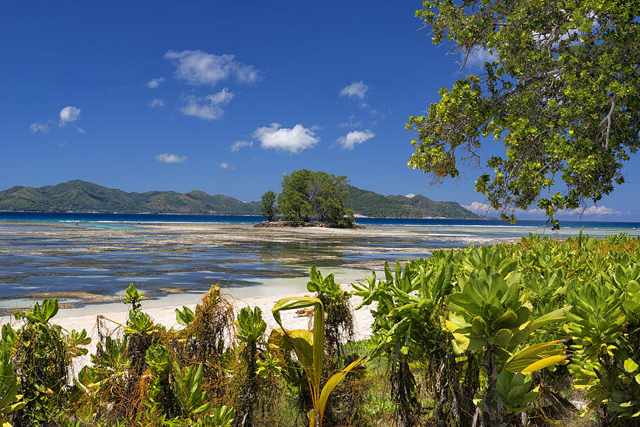Anse Union Beach in La Digue, Seychelles Photograph by Ivan Batinic