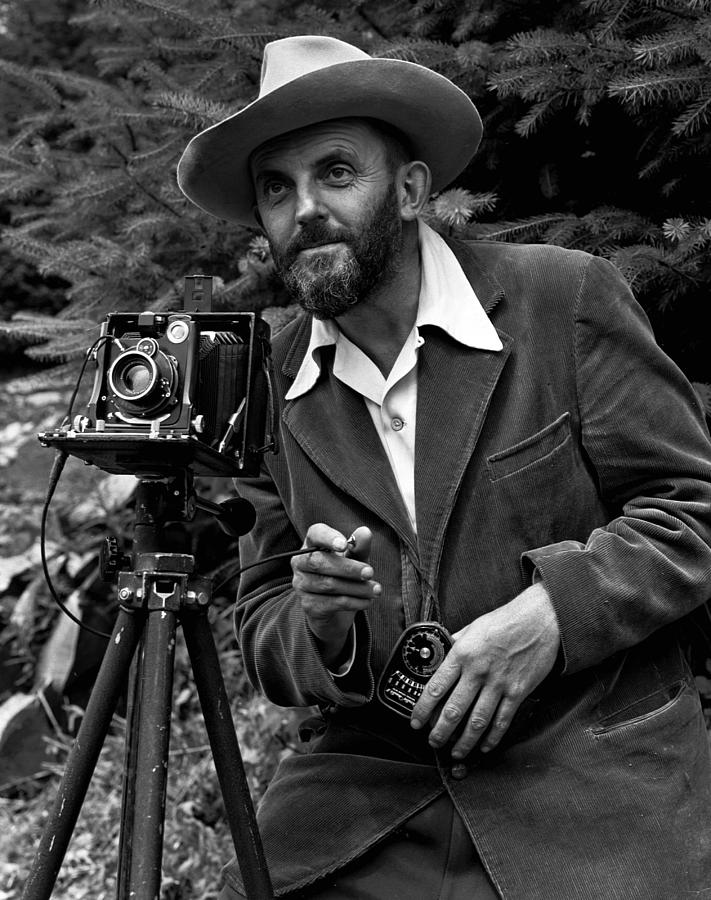 Ansel Adams Black and White Photo Photograph by Georgia Fowler