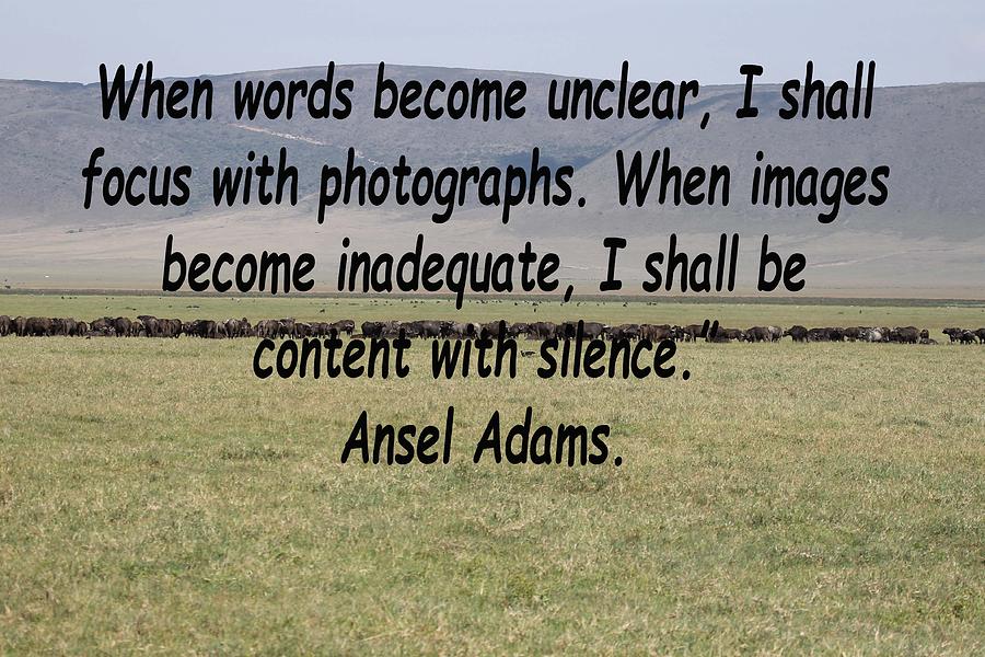 Ansel Adams Quote Photograph by Tony Murtagh