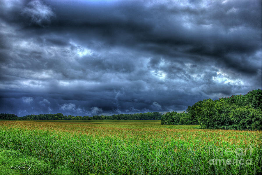 Answered Prayer Corn Growing Weather Georgia Farming Art Photograph by Reid Callaway