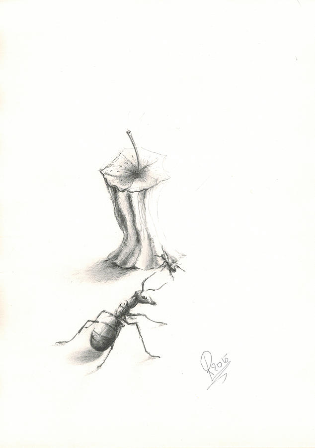 Ant Drawing - Ant fun by Roy Ramakers