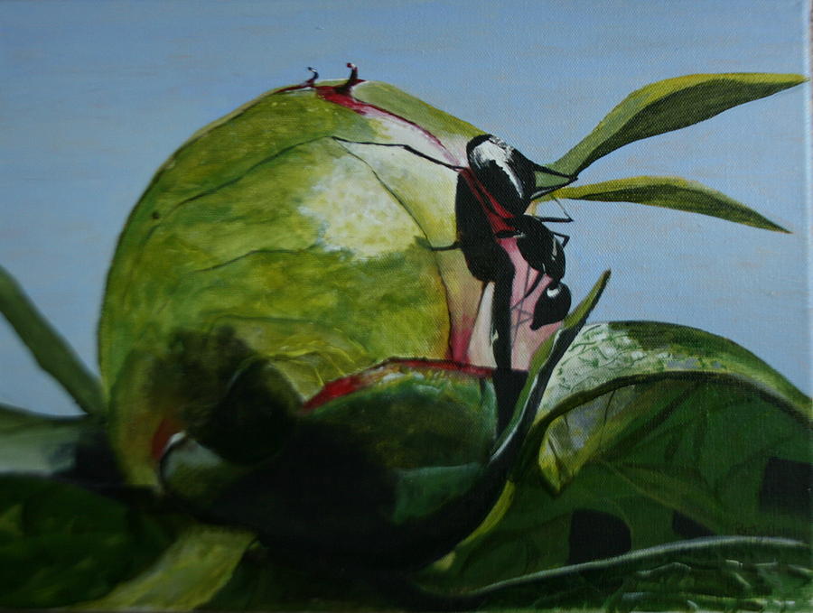 Ant Painting - Ant on Peony Bud by Betty-Anne McDonald
