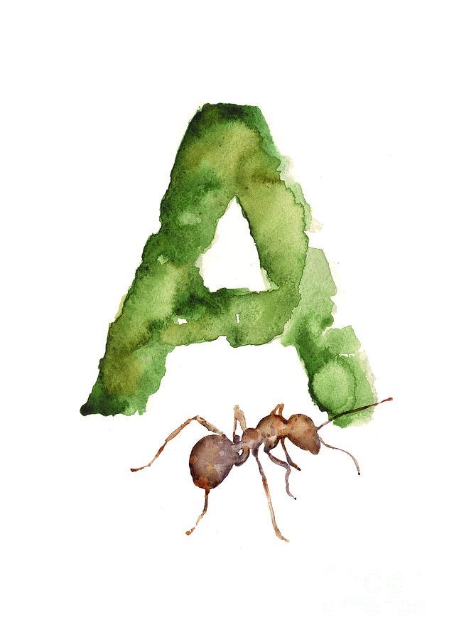Ant Painting - Ant watercolor alphabet painting by Joanna Szmerdt