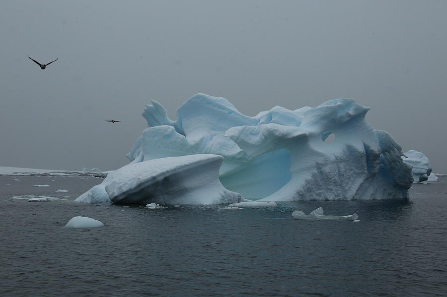 Antarctic Dreamberg Photograph by Bruce J Robinson