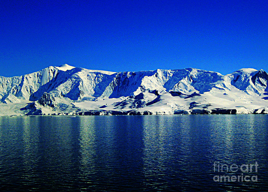 Antarctic Reflections Photograph by Steve C Heckman