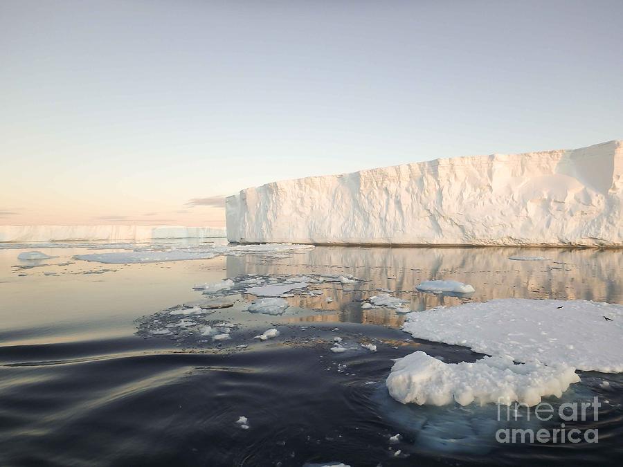 Antarctic Sound icebergs Photograph by Karen Foley
