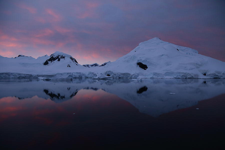 Antarctic Sunrise Photograph by Bruce J Robinson