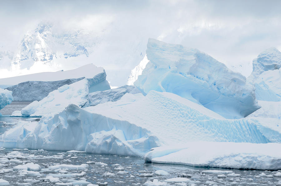 Antarctica Snow Photograph by Terese Loeb Kreuzer