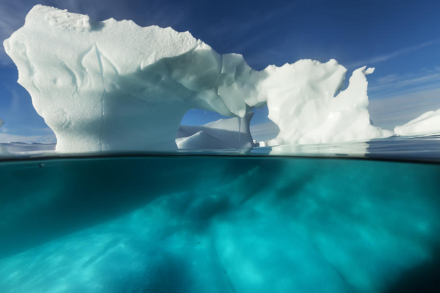 Nature Photograph - Antarctica, Underwater View Of Arched by Paul Souders