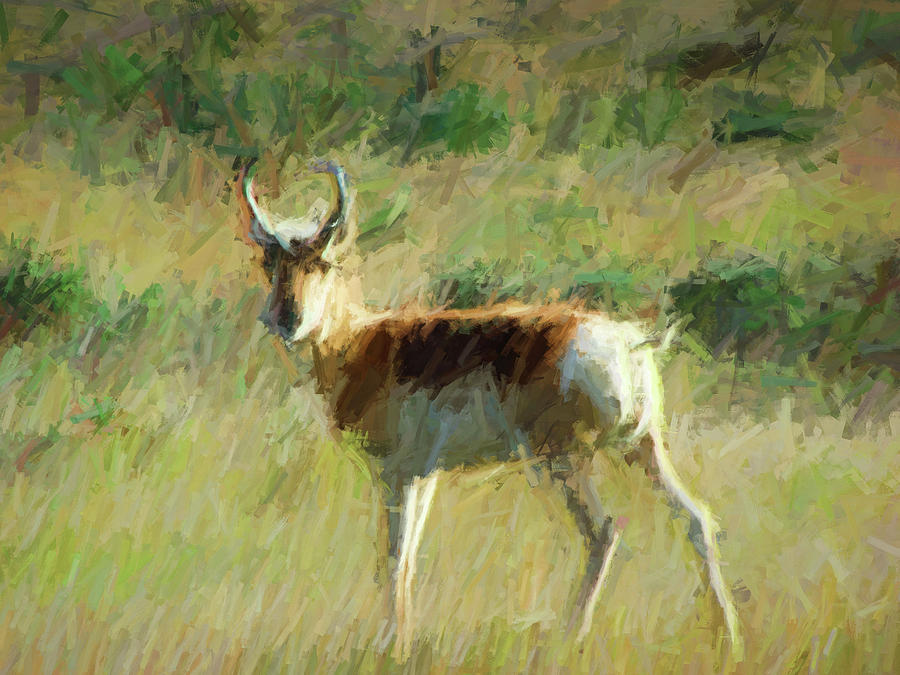 Antelope Alone Digital Art by Cathy Anderson