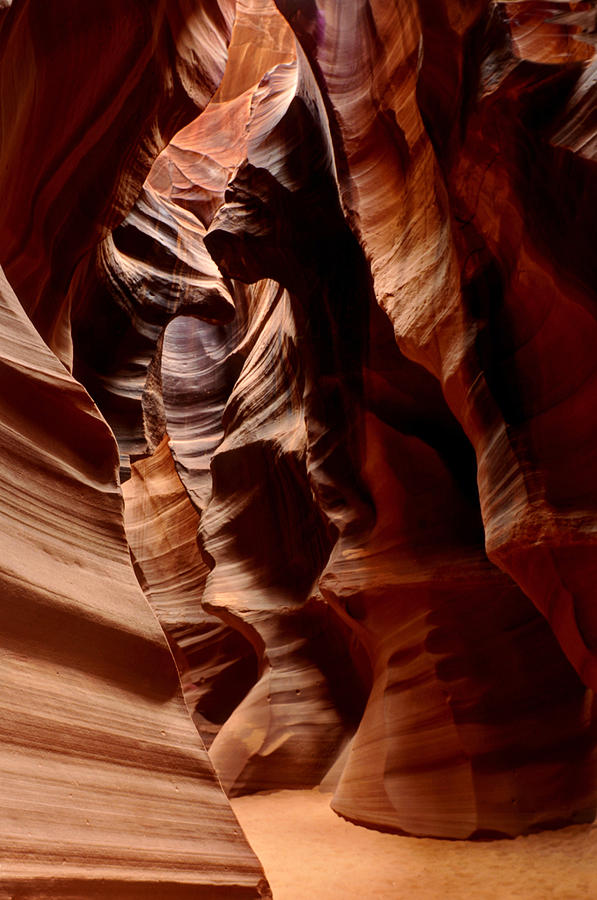 Antelope Canon Vertical Photograph by Don Wolf