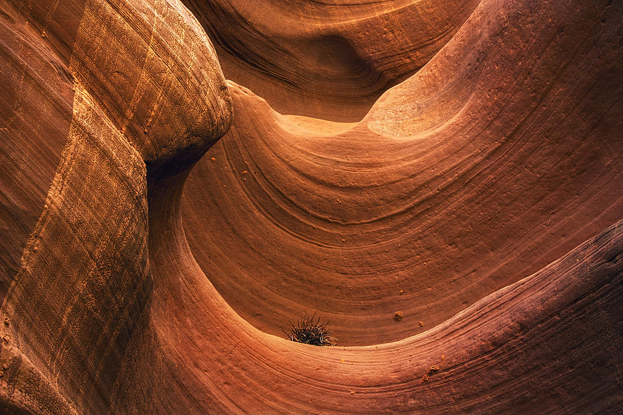 Antelope Canyon Photograph - Antelope Canyon Horizontal Swirl by Dave Dilli