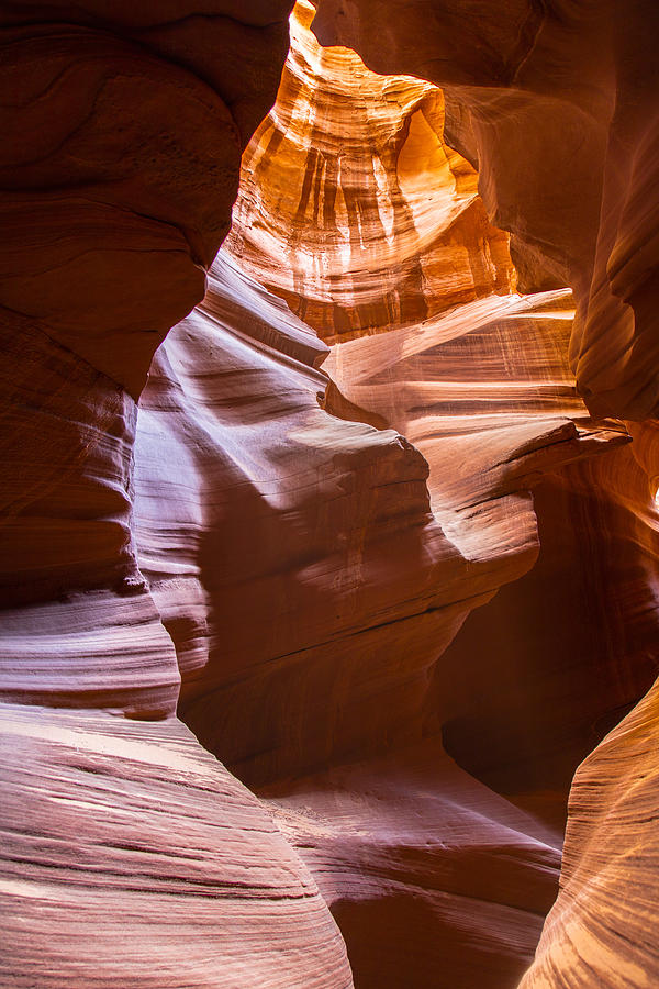 Antelope Canyon Looking Up  Photograph by John McGraw