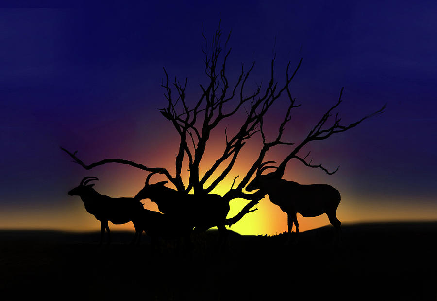 Antelope Crossing Digital Art by Gravityx9 Designs