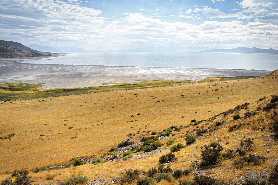 Antelope Island State Park Great Salt Lake 02 Photograph by Thomas Woolworth