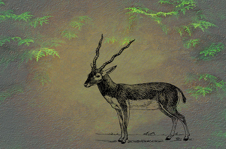 Antelope Mixed Media by Movie Poster Prints