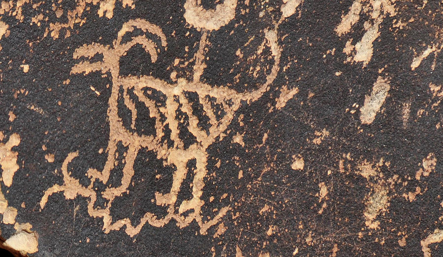 Antelope Petroglyph Photograph by David Arment