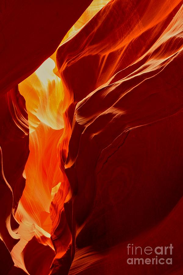 Antelope Textures And Flames Photograph by Adam Jewell