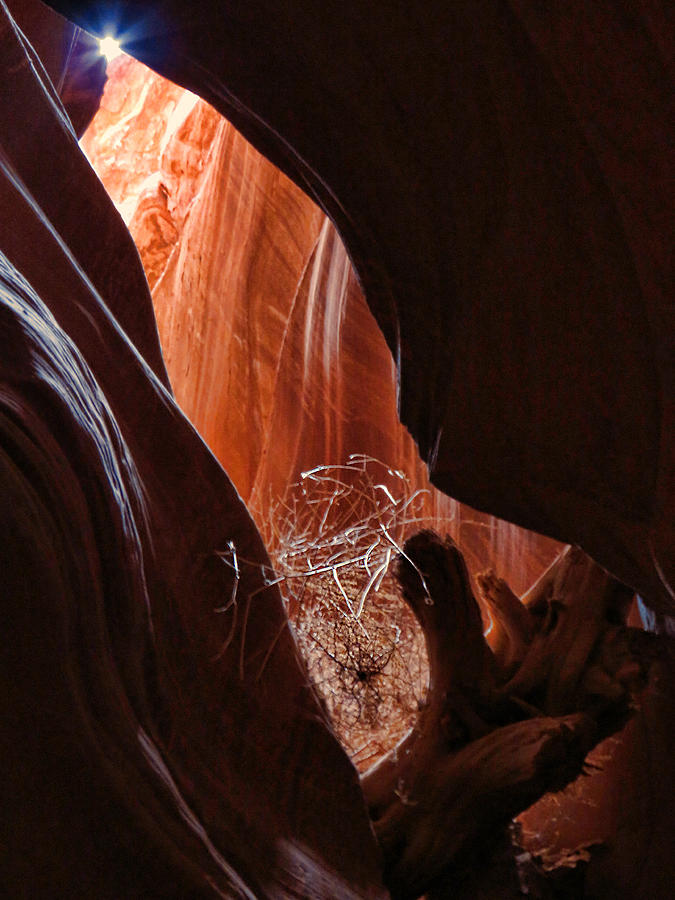 Antelope Valley Slot Canyon 5 Photograph by Helaine Cummins