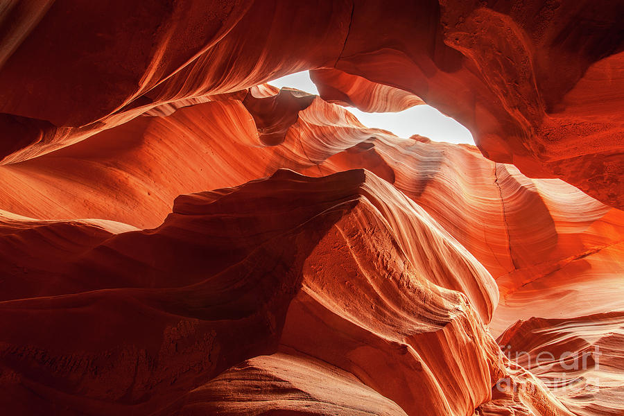 Antelope Canyon, Howling Wolf Photograph by Martin Williams