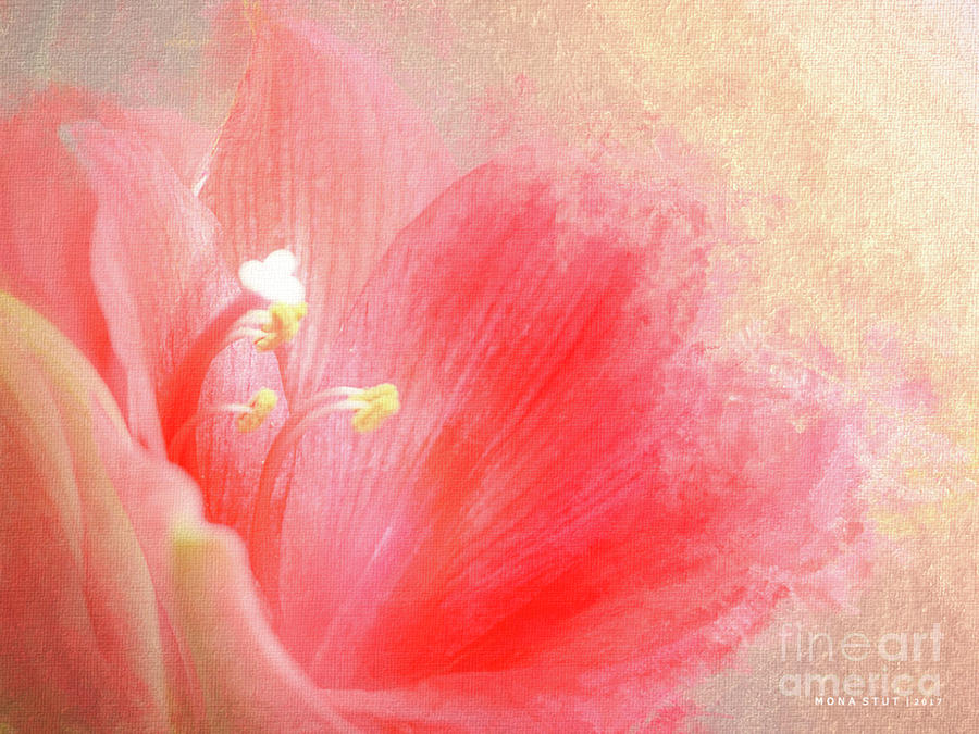 Anther Rose Pink Flora Digital Art by Mona Stut