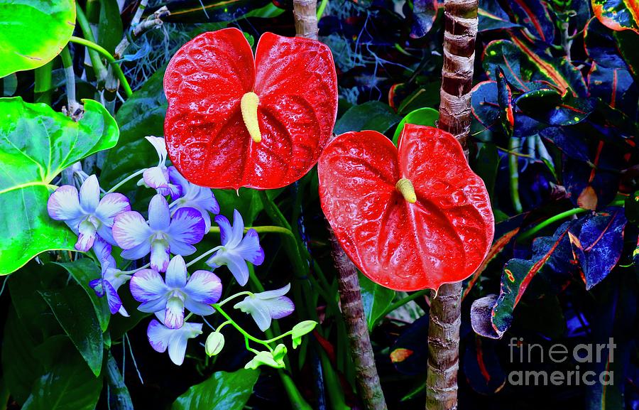 Anthurium and Orchids Photograph by Craig Wood
