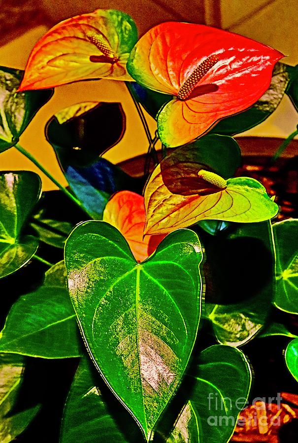 Anthurium for Easter Photograph by Craig Wood