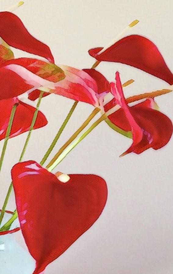 Anthurium Fragments in Red Photograph by Joalene Young