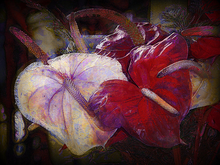 Anthuriums for My Valentine Photograph by Lori Seaman