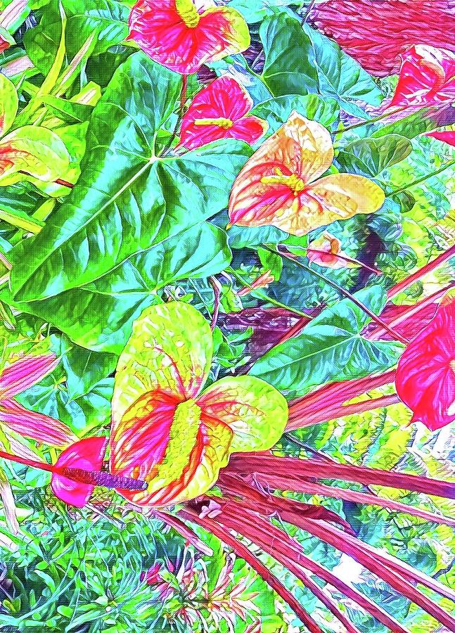 Anthuriums Pink and Turquoise Photograph by Joalene Young
