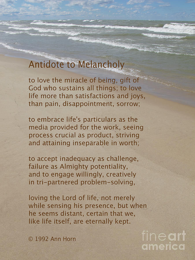 Antidote to Melancholy Photograph by Ann Horn