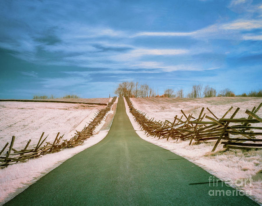 Antietam road faux color IR Photograph by Izet Kapetanovic