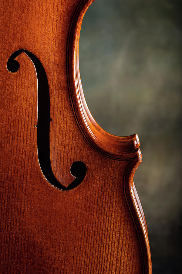 Antique Violin 1732.65 Photograph by M K Miller