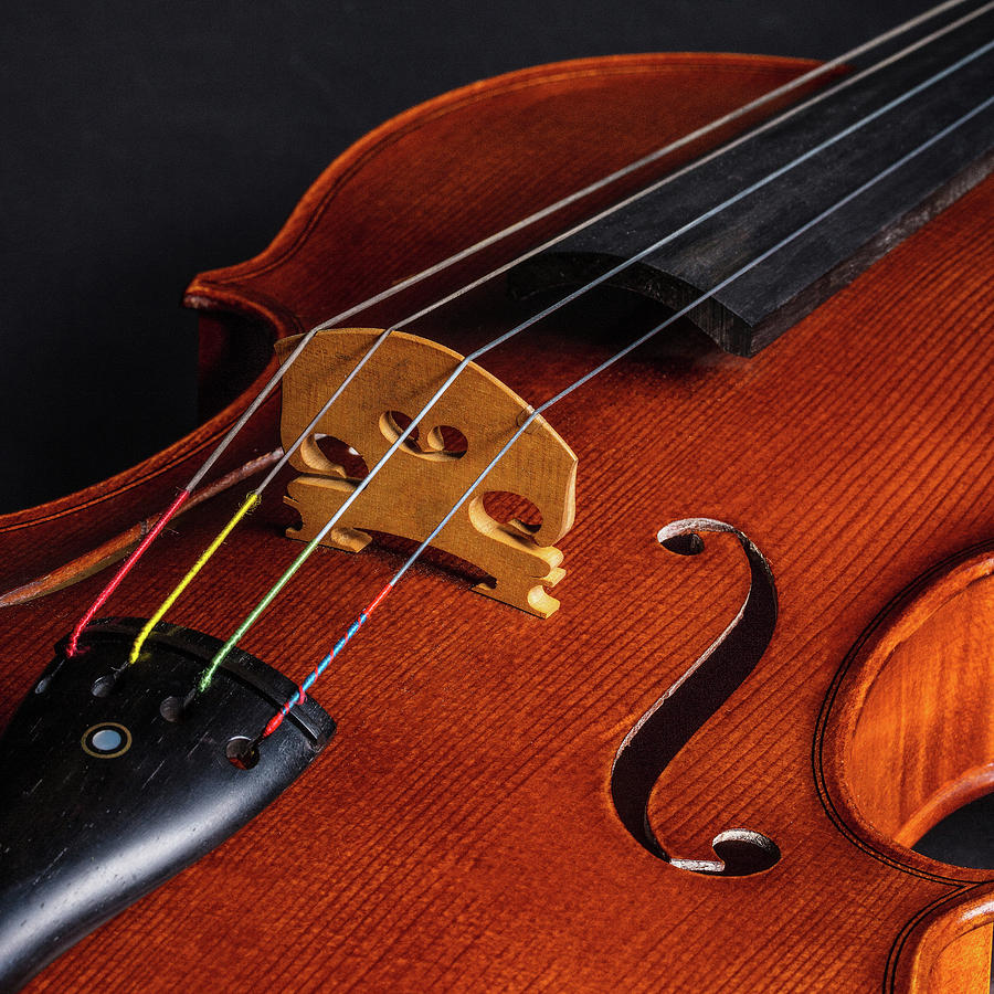 Antique Violin 1732.67 Photograph by M K Miller