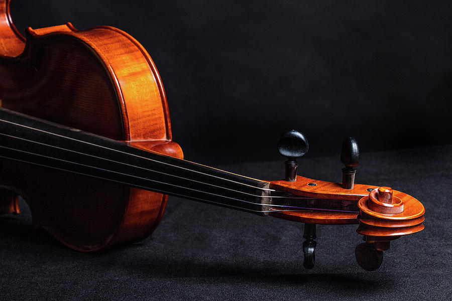Antique Violin 1732.69 Photograph by M K Miller