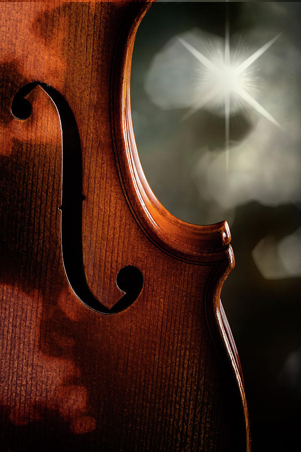 Antique Violin 1732.70 Photograph by M K Miller