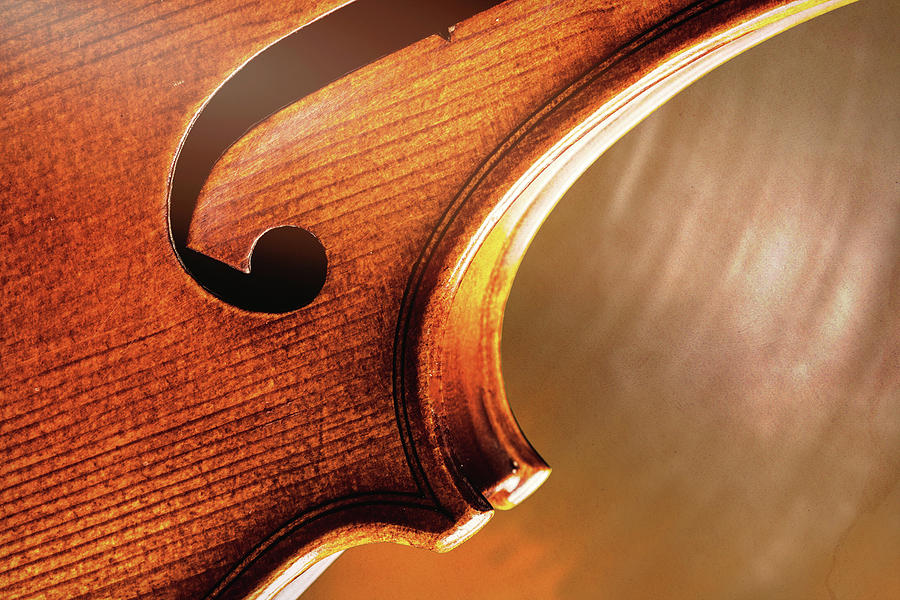 Antique Violin 1732.71 Photograph by M K Miller