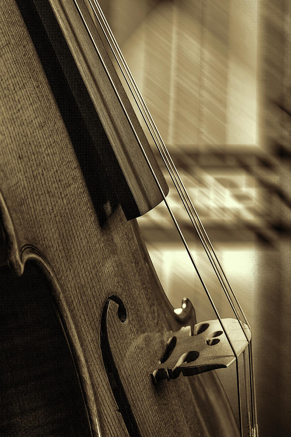 Antique Violin 1732.72 Photograph by M K Miller