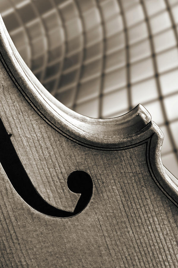 Antique Violin 1732.74 Photograph by M K Miller
