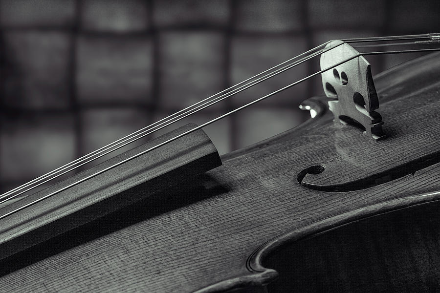 Antique Violin 1732.75 Photograph by M K Miller