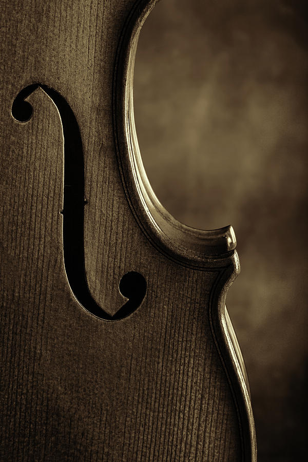 Antique Violin 1732.76 Photograph by M K Miller