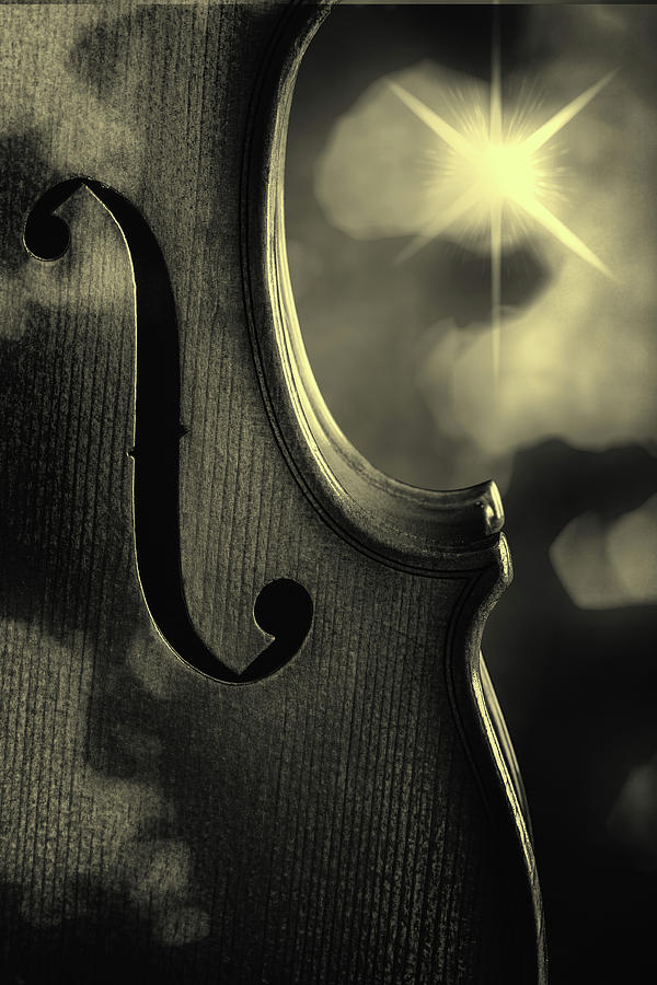 Antique Violin 1732.77 Photograph by M K Miller